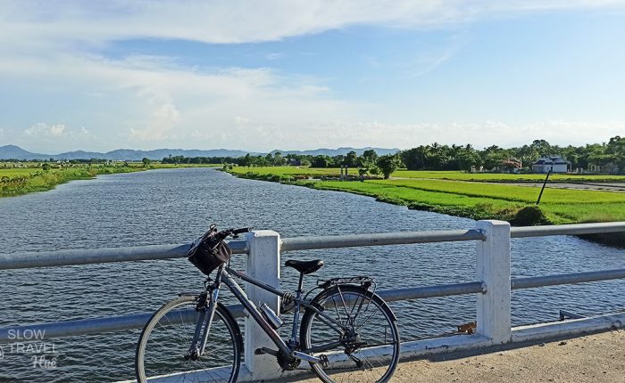 bicycle by the river and rice field